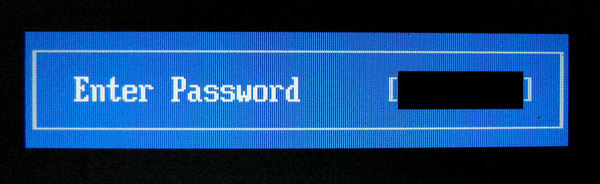 Bios password prompt